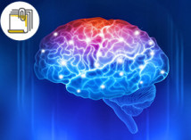 Thumbnail of Transcranial Magnetic Stimulation in stroke rehabilitation