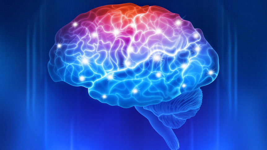 Thumbnail of Transcranial Magnetic Stimulation in stroke rehabilitation