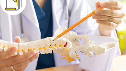 Thumbnail of The One-stop Services of HKSH Spine Centre