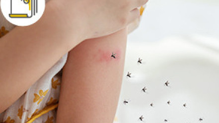 Thumbnail of Will Dengue Fever Become Severe after Secondary Infection? Will DEET Mosquito Repellent Affect Children's Health? Doctor's Advices to Effectively Repel Mosquitoes