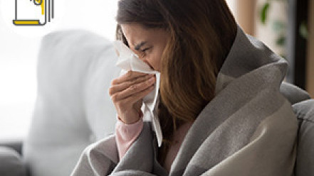 Thumbnail of Ignoring Four Symptoms of Allergic Rhinitis May Cause Sinusitis and Tracheitis: Explaining 4 Fallacies to Minimise Seizures and Learn Effective Desensitization Methods