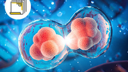 Thumbnail of What is Cellular Therapy?