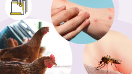 Thumbnail of Not Just COVID-19: Protect Yourself from Avian Influenza, Monkeypox and Dengue Fever during Travel