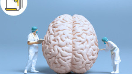 Thumbnail of More than Brain Surgery