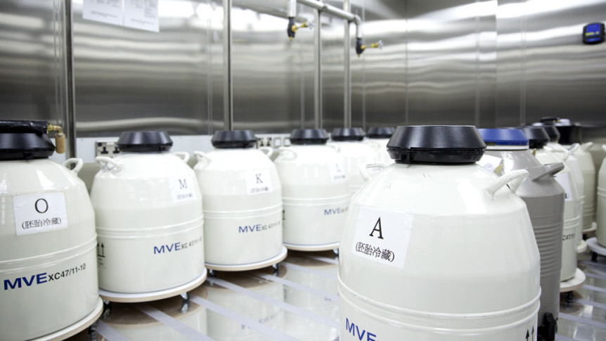 Thumbnail of Fertility Preservation with the Advanced Egg Freezing Technology