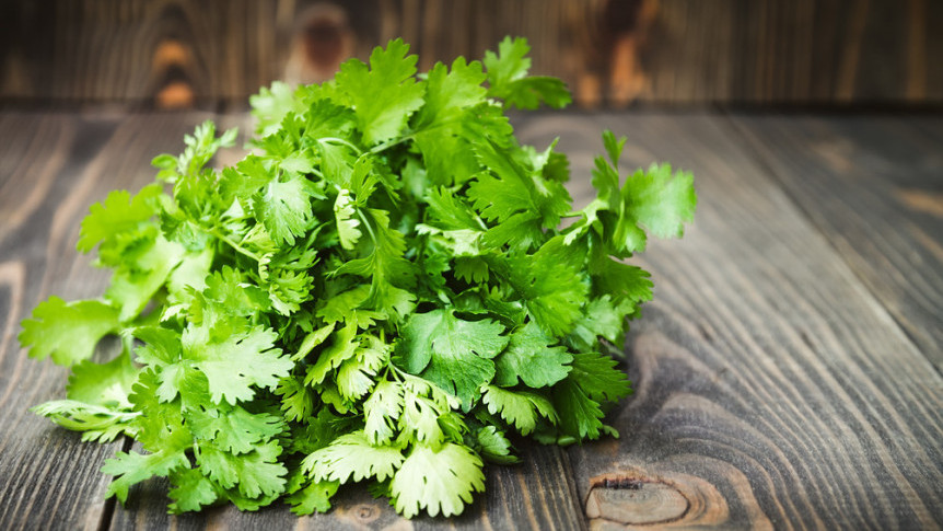 Thumbnail of Nutritional Value of Coriander