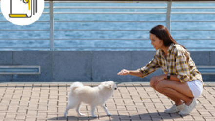 縮圖 - 狗狗與心臟健康