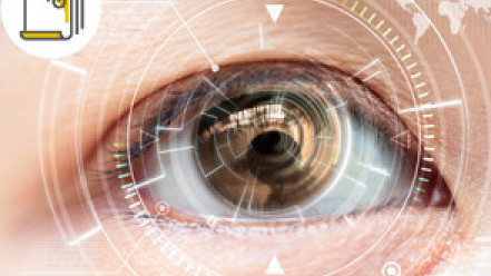 Thumbnail of Innovation of Keratoplasty: Lamellar Corneal Transplantation for 2 Recipients