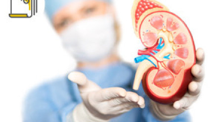 Thumbnail of Polycystic Kidney Disease: Causes, Staging and Treatment