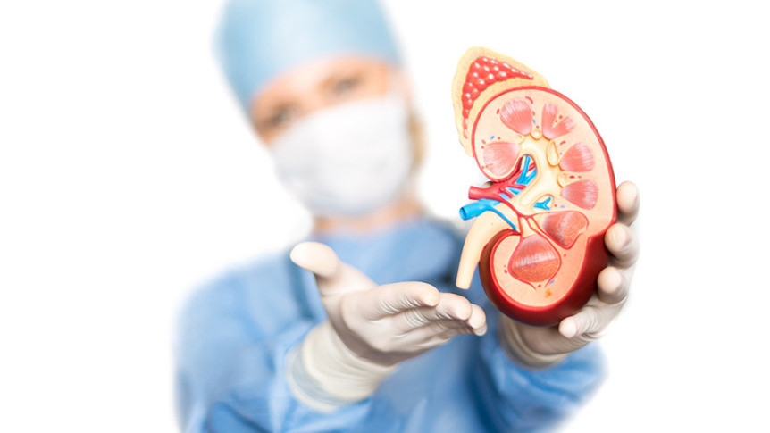 縮圖 - 不能逆轉的多囊性腎病 顯性遺傳病20歲前徵狀不明顯 新藥有助延緩洗腎時間