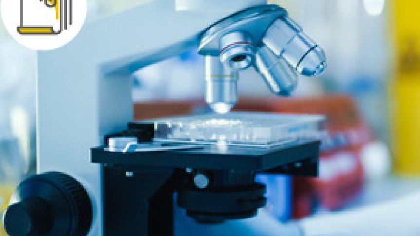 缩图 - 提防猫抓病 细菌感染