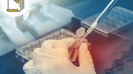 縮圖 - 罕見遺傳病 結節性硬化症