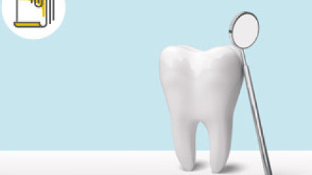 Thumbnail of 4 Principles of Dental Care in Children