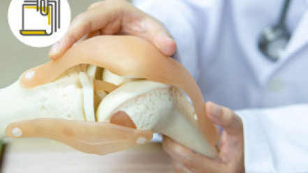 缩图 - 疲劳性骨折