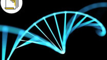 Thumbnail of Clinical Genetics: What to Expect