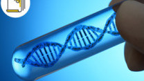 Thumbnail of "Like Father Like Son"? - Genetic Screening and Assessment