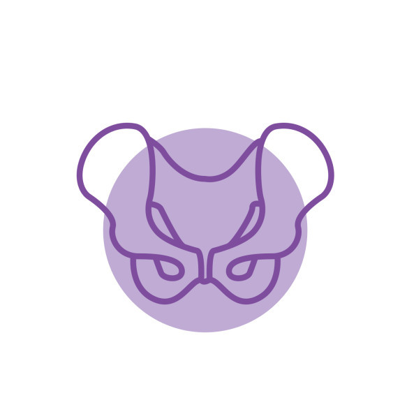 Pelvis