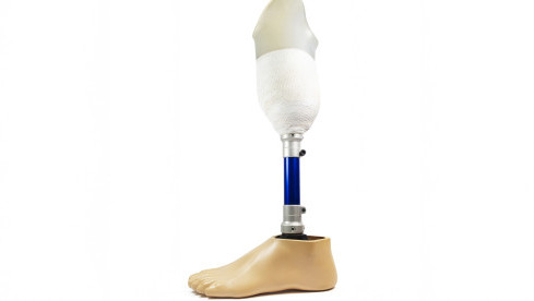 Thumbnail of Lower Limb Prosthesis