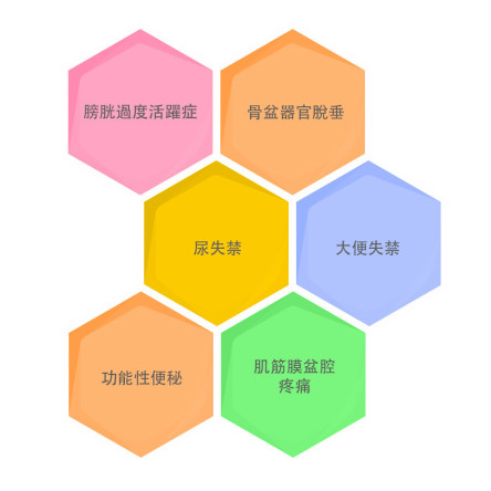 縮圖 - 骨盆底功能障礙，包括:&nbsp;