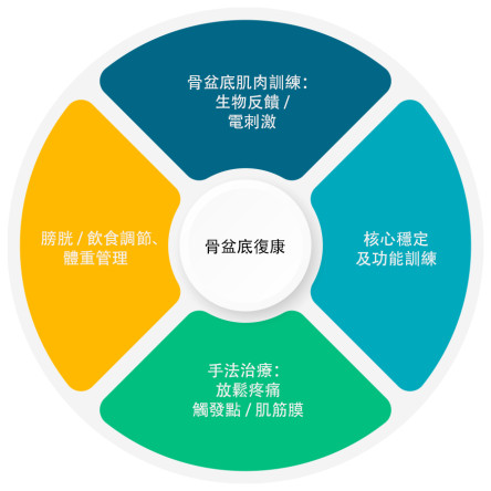 縮圖 - 骨盆底功能障礙的物理治療