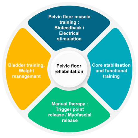 Thumbnail of Physiotherapy for Pelvic Floor Dysfunction&nbsp;&nbsp;