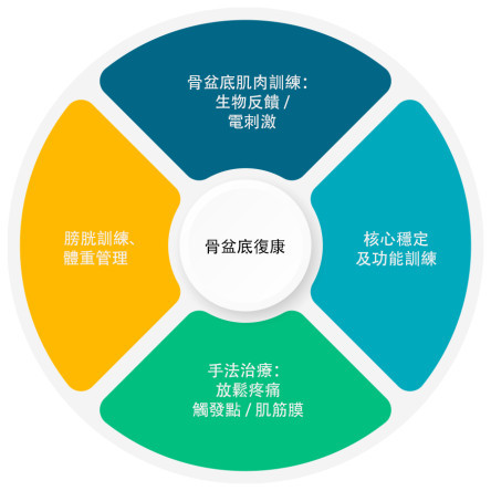 縮圖 - 骨盆底功能障礙的物理治療