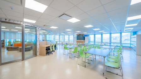 Study Area