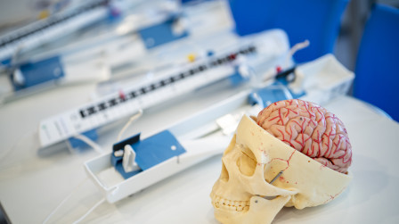  UCLA-HKSH Education Services for Oncology Health Professionals