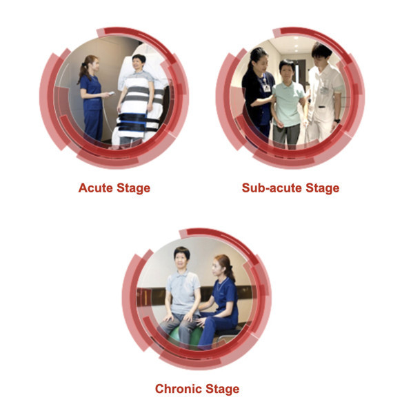 Our Stroke Physiotherapy Programme