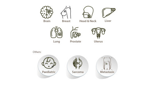Thumbnail of Types of Cancer Treated