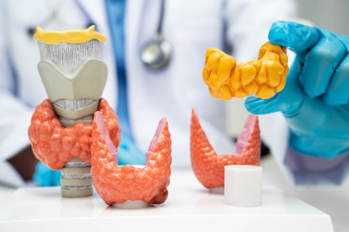 Thumbnail of Endocrine Surgery