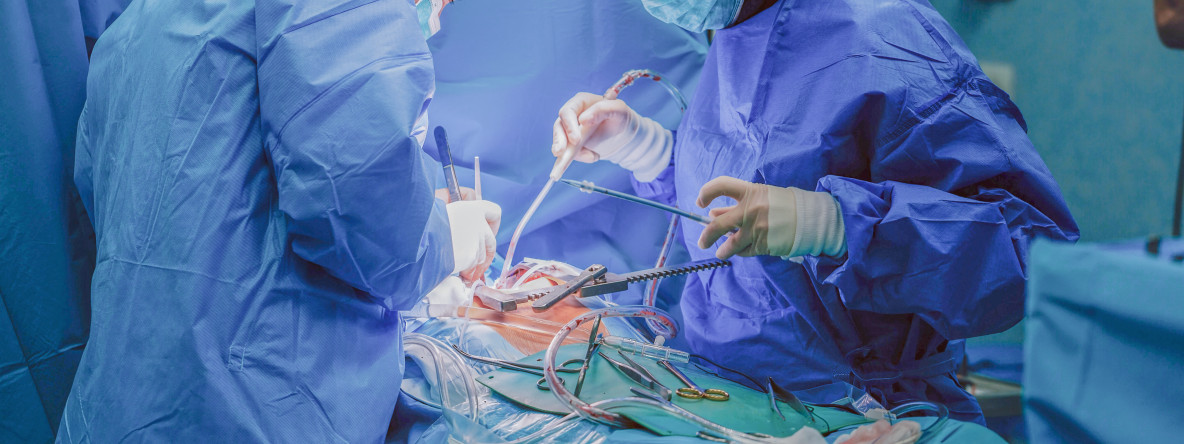 Thumbnail of Cardiovascular Surgery