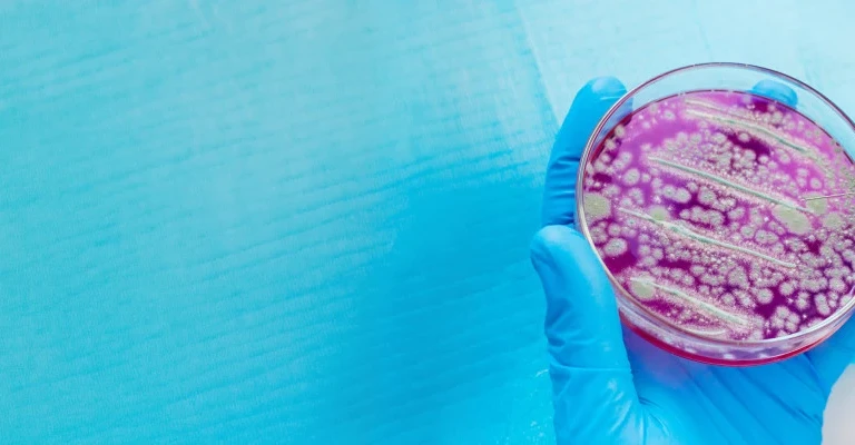 Clinical Microbiology