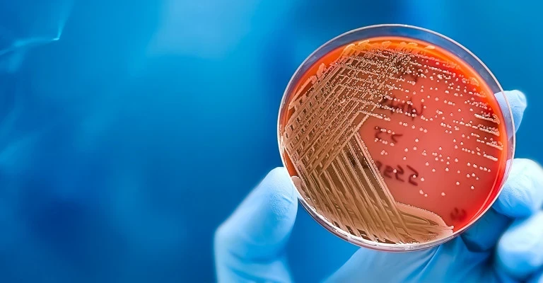 Clinical Infections Clinic