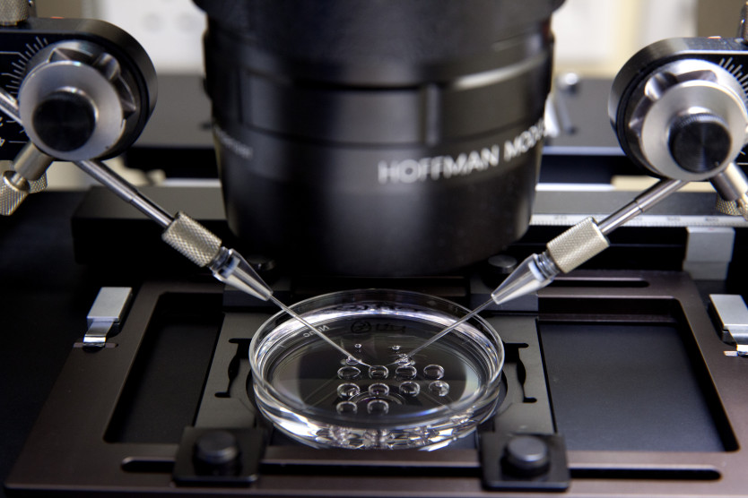 Thumbnail of Intracytoplasmic Sperm Injection (ICSI)