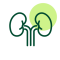 Icon of Nephrology