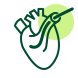 Icon of Cardiac Catheterization & Intervention