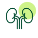 Icon of Nephrology