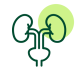 Icon of Urology
